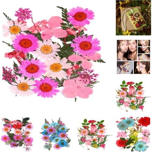 25Pcs Pressed Dried Flowers Dry Leaves for DIY Arts Crafts Bookmark Cards Making