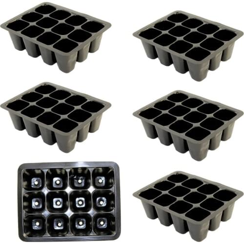 Семена OUSSIRRO China At AliExpress