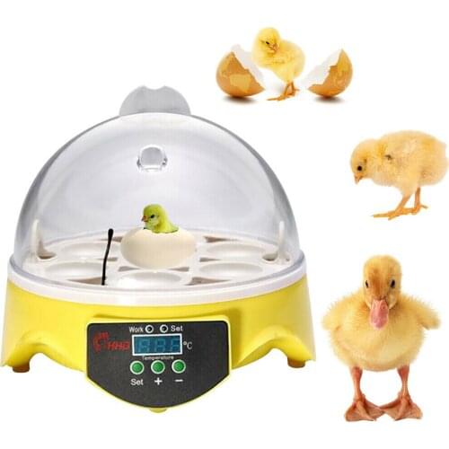 7 Eggs Incubator Chicken Ducks Egg PID Automatic Hatcher intelligent Temperature Control Hatching Machine US/UK/EU/AU Plug