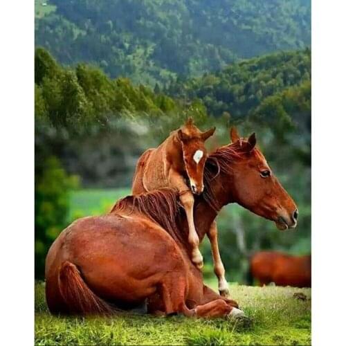 Full Round/Square Drill 5d Diamond Painting Horse Animal Mosaic DIY Diamond Embroidery Love Cross Stitch Sticker Home Decor