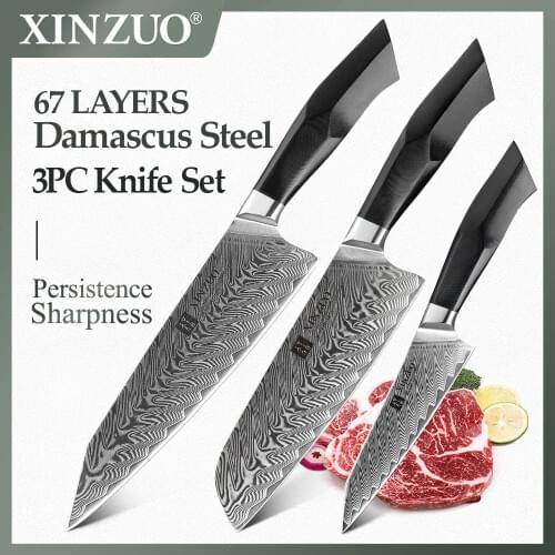 XINZUO 3PCS Professional Kitchen Knives Set 67 Layers Forged Damascus Steel High Carbon Steel Knives Best Sharp Cooking Knife