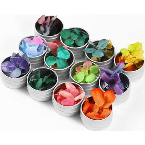 1box Natural Dried Flower Nail Decoration 3D Dried Flower Nail Sticker Manicure Nail Art Accessories Immortal Flower 12 Colors