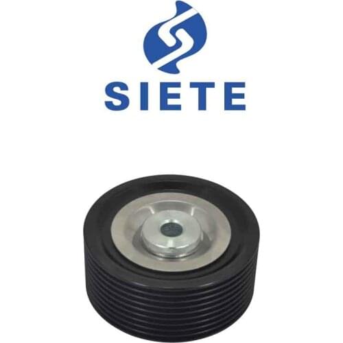 0002002370 0005500733 Belt Tensioner FOR TOURO