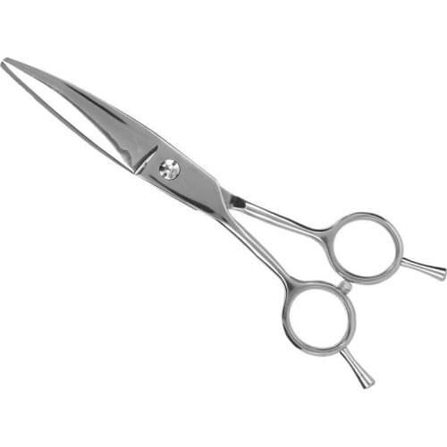 Professional Animal Hair Cutting Scissor Stainless Steel Shears Pet Grooming Scissor