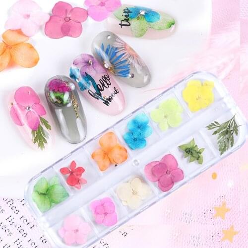 1 Box 3D Dried Flower Nail Decoration Natural Floral flower manicure dried flower drip glue mobile phone case diy material