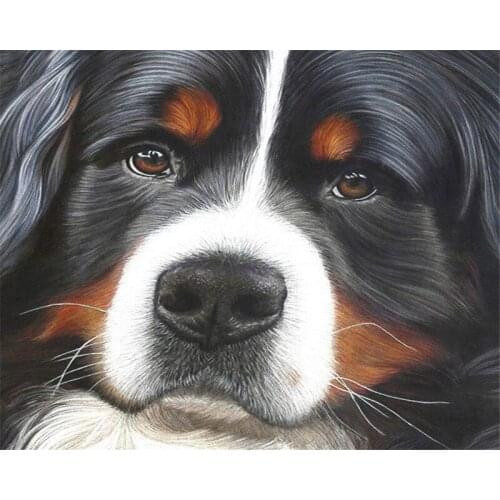 DIY Digital Painting By Numbers Package black white dog oil painting mural Kits Coloring Wall Art Picture Gift frameless