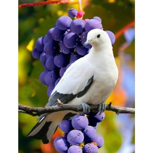 Diamond embroidery pigeon grape diamond mosaic 5D icon full square rhinestone diamond painting cross stitch home decoration kit