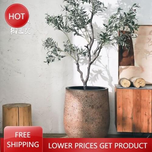 Oeny Plant Pots