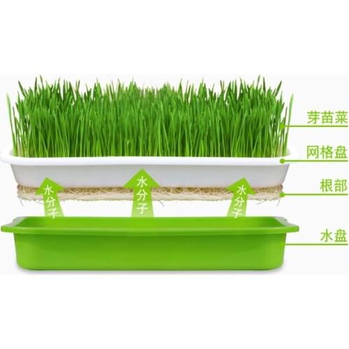 3 set Double Layer Bean Sprouts Plate Seedling Tray Planting Dishes Growing wheat seedlings Nursery Pots Home Garden plant tools