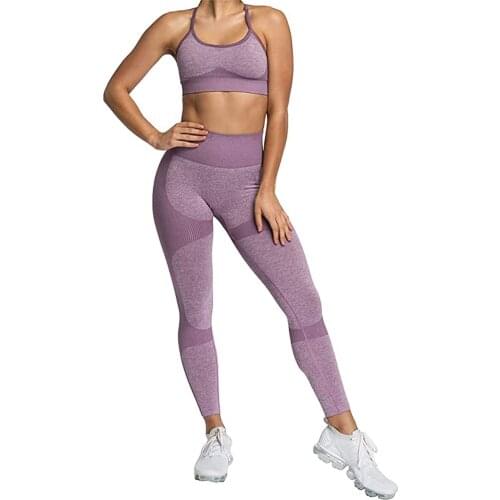 Seamless Yoga Sets For Women Fitness Exercise Clothing High Waist Leggings Tracksuit Bra Gym Running Sports Workout Clothes