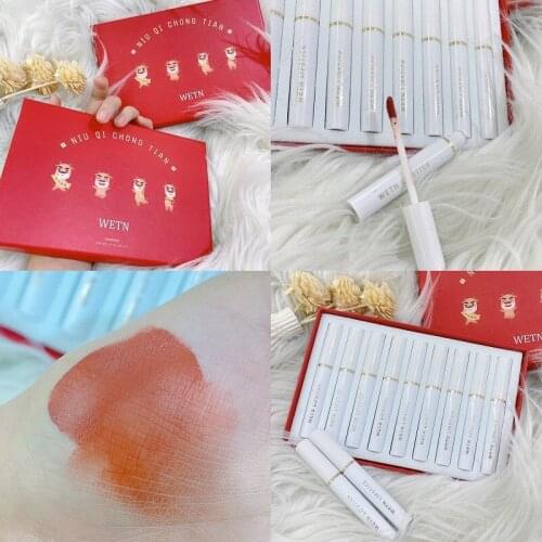 WETN 9Pcs Matte Liquid Lipstick Set Long Lasting Waterproof Pigmented Velvet Silky Lip Gloss For Gift Sexy Red Lip Makeup TSLM2