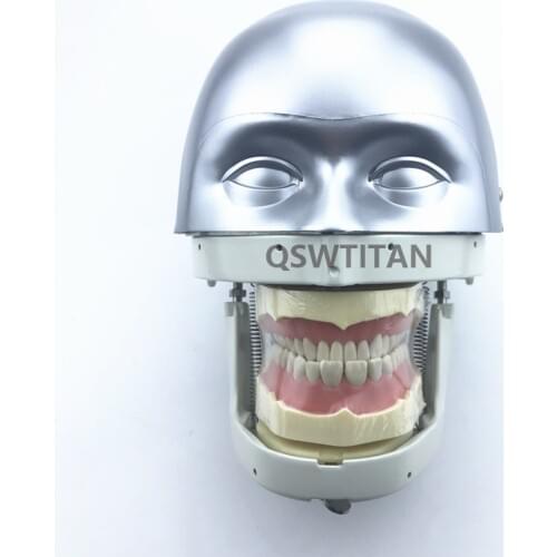 Dental Simulator Manikin Phantom Head demonstrations practical exercises