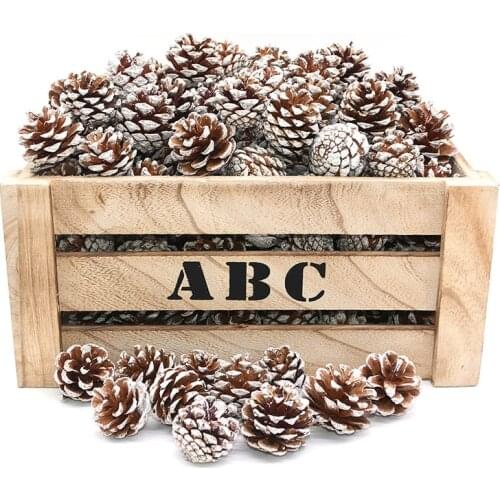 10pcs/lot Natural Pine Cone Christmas Tree Decoration Pinecone Xmas Bauble New Year DIY Party Decoration Photo Props Accessories