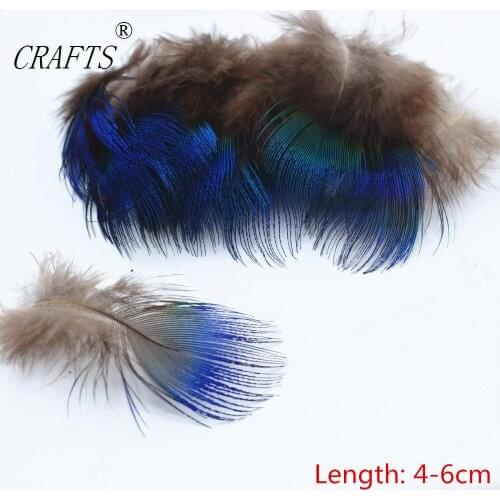 Hot! 100 pc / lot quality natural Peacock feathers, 3-5cm DIY jewelry decoration