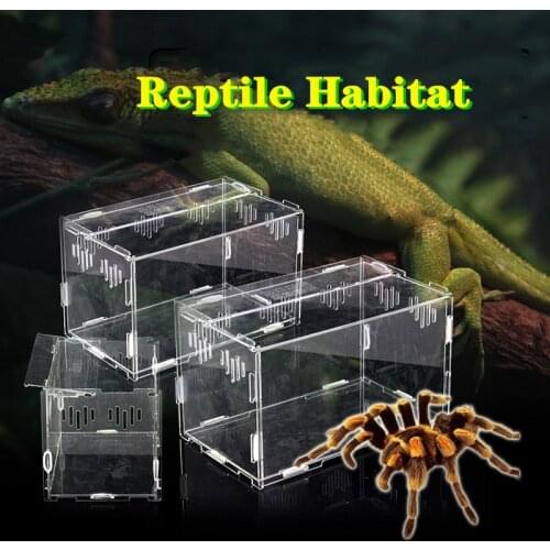 Acrylic Reptile Terrarium Kit for Reptiles and Amphibians Cricket Spider Snail Breeding Box Micro Habitats