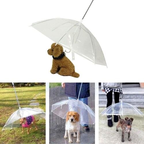 Transparent Portable Walking Small Dog Cat Pet Umbrella with Chain Keep Dry in the Rain Gear Outdoor Tool