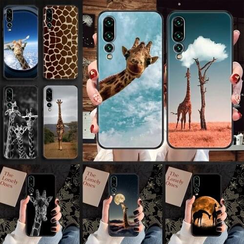 Giraffes Cute Animal Phone case For Huawei P Mate P10 P20 P30 P40 10 20 Smart Z Pro Lite 2019 black tpu prime luxury bumper soft