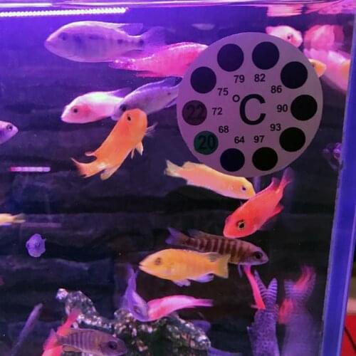 Термометры для аквариумов SAILFLO China At AliExpress