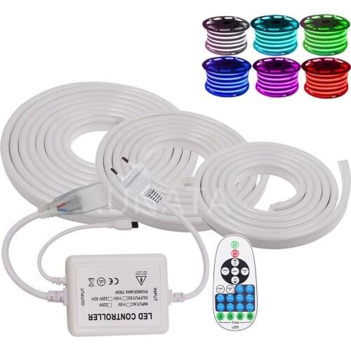 220V RGB Neon Light LED Strip Light with Remote Dimmer Flex Neon Rope Waterproof Neon Sign Diode Tape for Decoration EU Plug