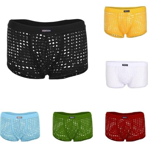 S-3XL Sexy Mesh Mens Panties Hollow G-String Boxers See Through Sexy Underwear Temptation Low-Waist Underpants Erotic Lingerie