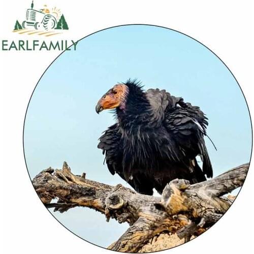 EARLFAMILY 13cm x 13cm For California Condor Bird Eagle Creative Car Stickers DIY Decal Bumper Decoration Surfboard Sunscreen