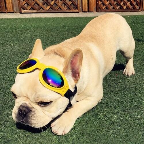 Puppy Glasses Pet Sunglasses Dog Eye-wear Little Dog Glasses Photos Props Dog Accessories Pet Supplies For Small Dogs Products