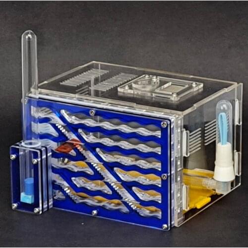 DIY With Feeding Area Ant Nest Ant Farm Acryl Insect Ant Nests Villa Pet Mania For House Ants