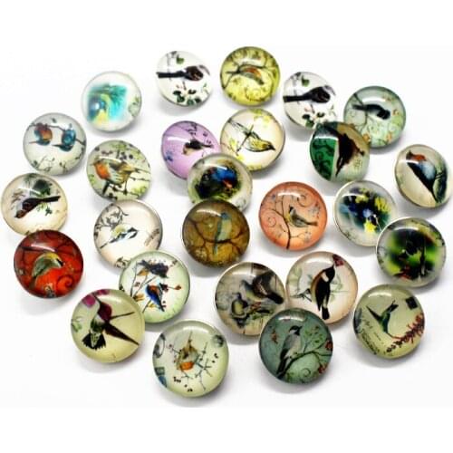 Newest 10pcs/lot pretty bird Snap Buttons Charms 18mm Animal Print Glass Buttons Fit DIY Snap Bracelets&Bangle Jewelry