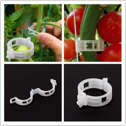 50pcs/set Plant Clips Hanging Support Vine/Branch/Root/Twine/Cage Plant Fixer Tomato Clips Greenhouse Vegetables Garden Ornament