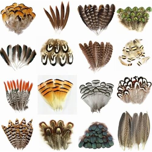 Natural Peacock Feather Pheasant Feathers for Crafts Ostrich feathers for jewelry making carnaval assesoires Decoration Plumas