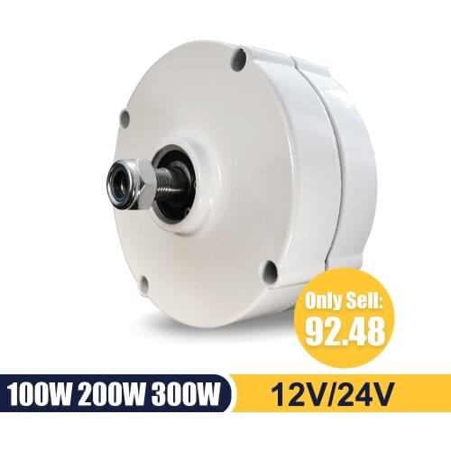 China Factory 100W 200W 300W 12V/24V Low Speed Permanent Magnet Generator Household Motor DIY Wind Turbine