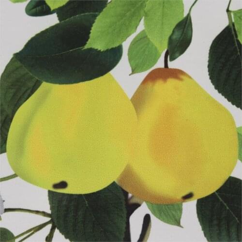 Pear vintage fabric Retro style fabric Calico satin-like cotton fabric fabric for DIY Bag 1 order=50cm*140cm