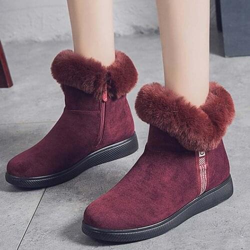 Winter Snow Ankle Boots For Women Casual Woman Shoe Suede Winter Boots Zipper Female Plush Furry Boots Platform Botas Mujer
