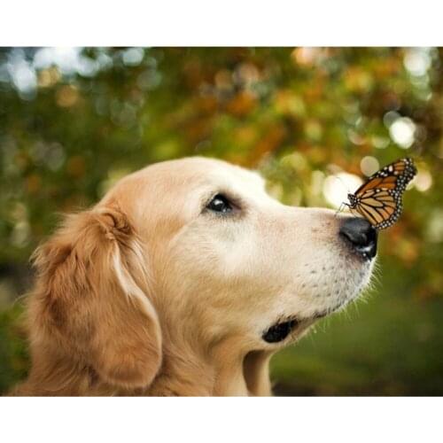 Animal Dog DIY Embroidery Cross Stitch 11CT Kits Needlework Set Printed Canvas Cotton Thread Home Decoration On Sale Wholesale