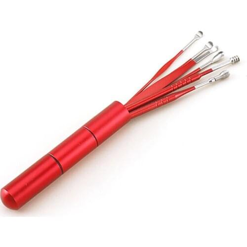 5/6PCS/Set Stainless Steel Spiral Ear Pick Spoon Ear Wax Removal Cleaner Multifunction Portable Ear Pick Ear Care Beauty Tools