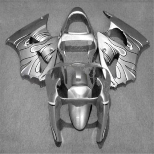 Injection molding fairings set for Kawasaki ZX-6R 2000 2001 2002 silver custom fairing kit Ninja 636 ZX6R 00-02