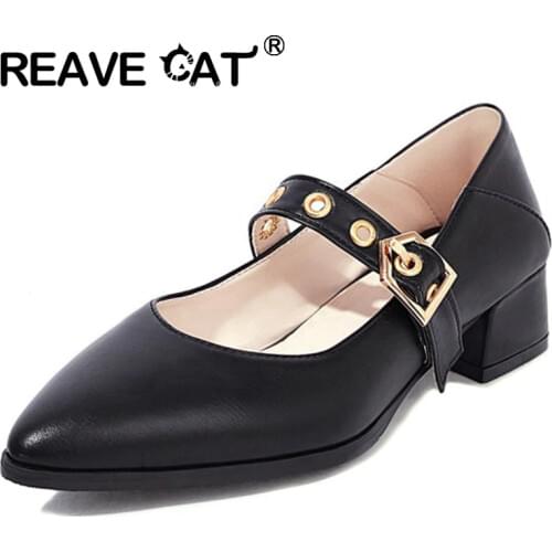 REAVE CAT New 2021 Women Pumps Pointed Toe 4cm Block Heels Buckle Punk Cool Concise Stylish Big Size 32-46 Casual Summer A3798