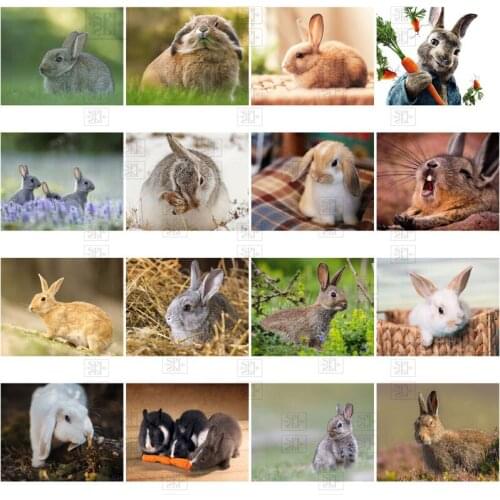 Diy 5D Diamond Painting Little White Rabbit Diamond Embroidery Animal Picture Cross Stitch Full Round Square Drill Mosaic Decor