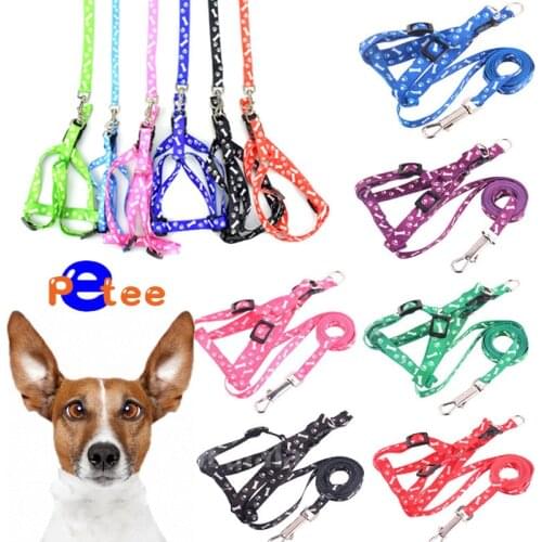 Small Dog Cat Harness Leash Adjustable Vest Collar Puppy Outdoor Walking Chihuahua Terier Schnauzer