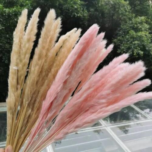 40cm/10pcs,Natural white Bulrush Grass Dried Flowers Branch,Eternell Small Pampas Reed Wedding Party Home Decoration accessories