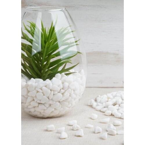 1 Kg Dolomite Stone 1 2 cm Aquarium Stone Pebble Stone Garden Flower Pot Stone River Stone