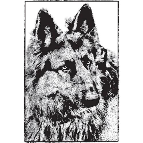Clear Stamps Ferocious Wolf Cool Animal Piercing Eyes For DIY Scrapbook Photo Album Craft Card 2021 New