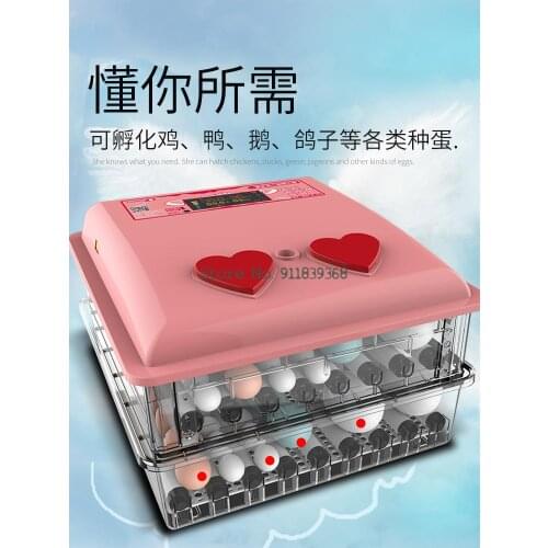 Automatic Chicken Incubator Small Household Intelligent Incubator Chicken Goose Egg Incubator Egg Incubator Incubator