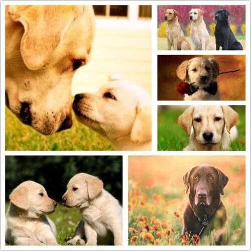 Diamond Mosaic Dog Lacquer And Diamond Cross Stitch Labrador Dog Diamond Painting Embroidery Full Display Animal Pictures