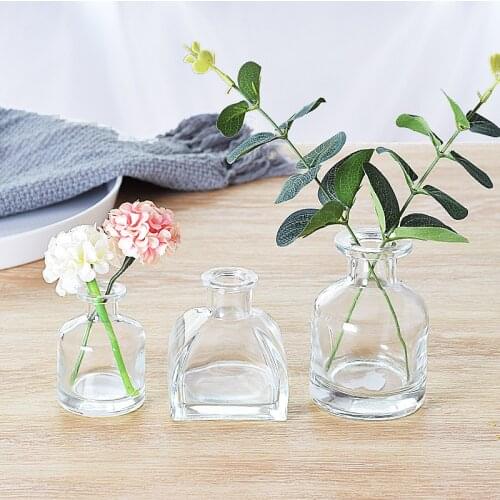 5pcs Transparent Glass Yurts Perfume Bottles Hydroponic Plant Aromatherapy Glass Bottle Rattan Diffuser Bottle for Home Decor