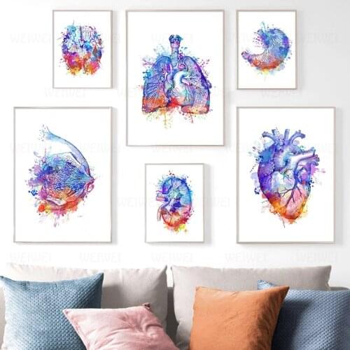 Colorful Human Organs Canvas Paintings for Home Decoration Viscera Posters and Prints On Wall Pictures for Living Room Clinics