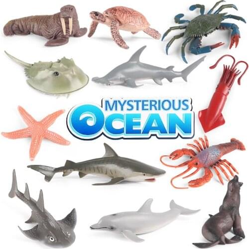 Oenux Sea Life Set Shark Whale Dolphin Squid Turtle Model Marine Ocean Animal Action Figures Educational Kids Toy Gift With Box