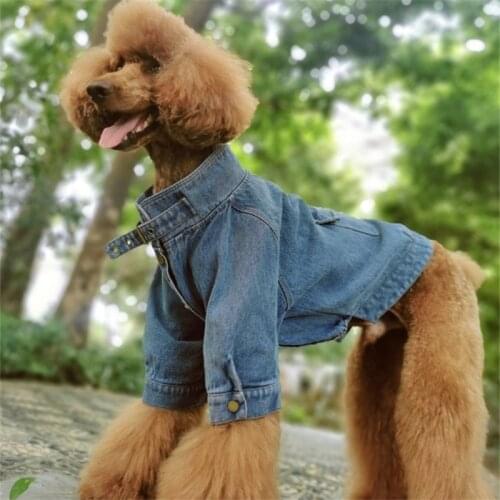Pets Dogs Cool Denim shirt For Small Puppy And Giant Poodle