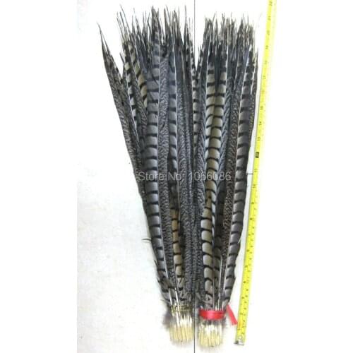 Free shipping manufacturers sale 100pcs 50-55cm 20-22inch chicken feathers lady amherst pheasant feathers /jewelry accessories