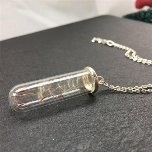 3PCS 40x12MM Glass tube Dandelion Real Seed Necklace real dandelion seeds necklace Diy Jewelry Gift